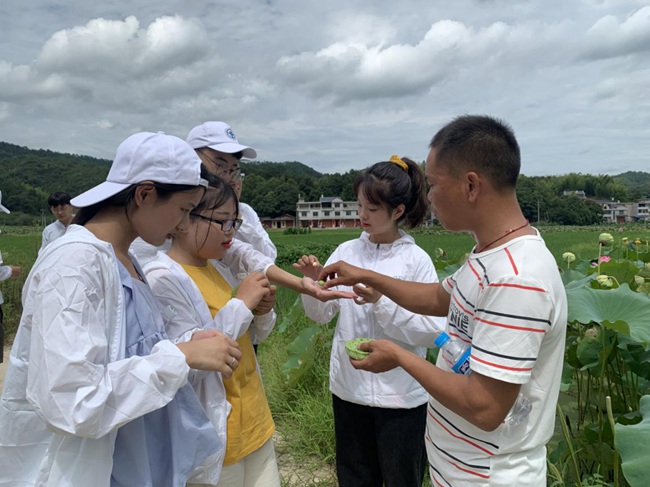 隊員參觀蓮子生產(chǎn)基地。福建船政交通職業(yè)學(xué)院供圖